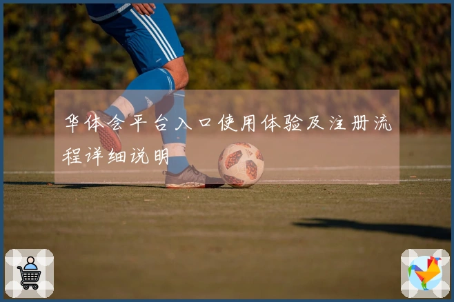 华体会平台入口使用体验及注册流程详细说明